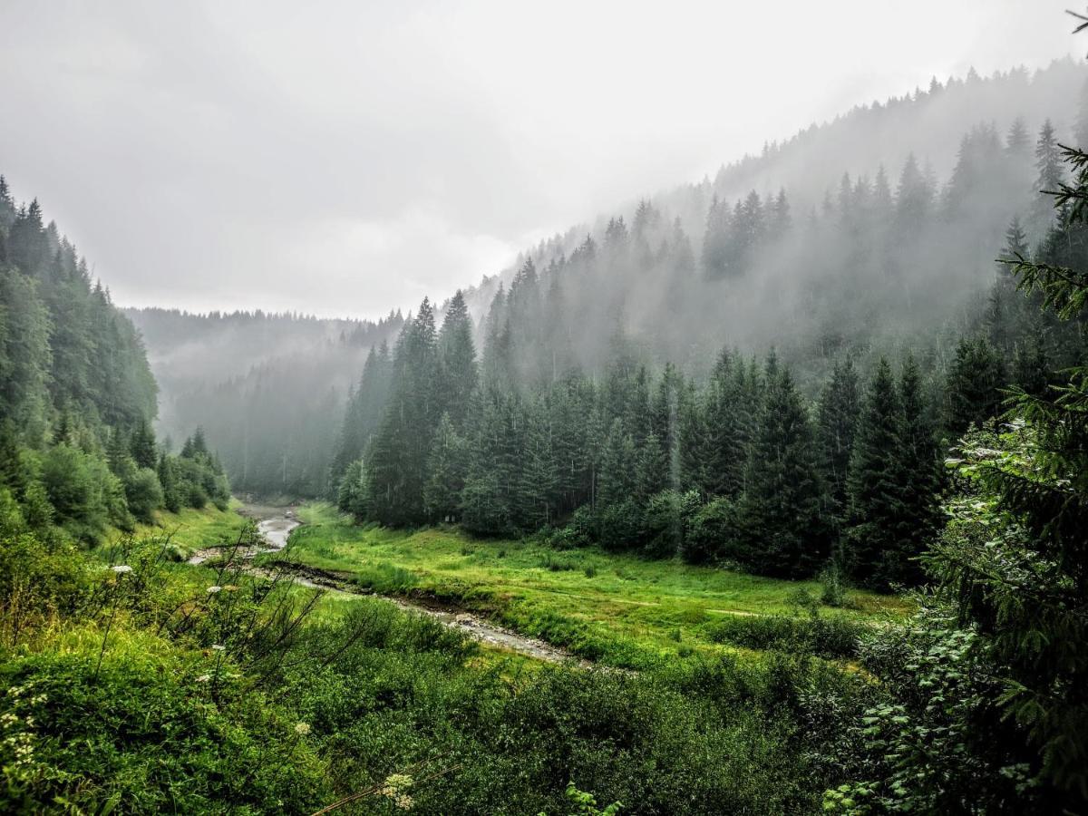 Zlatarske Brvnare Zlatar Chalets Нова-Варош Екстер'єр фото