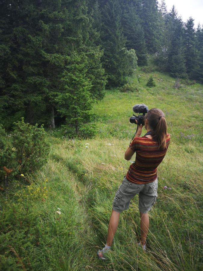 Zlatarske Brvnare Zlatar Chalets Нова-Варош Екстер'єр фото