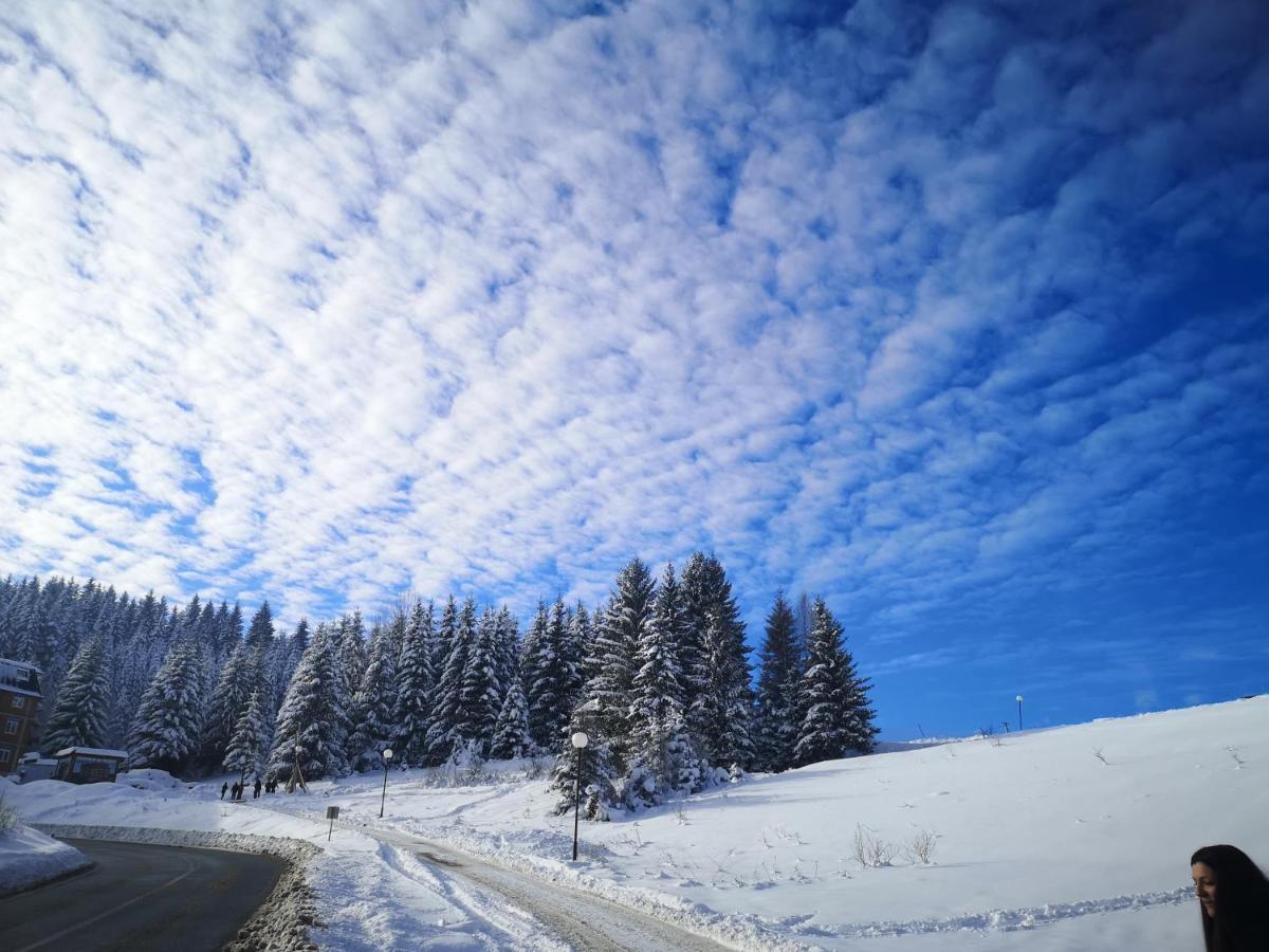 Zlatarske Brvnare Zlatar Chalets Нова-Варош Екстер'єр фото