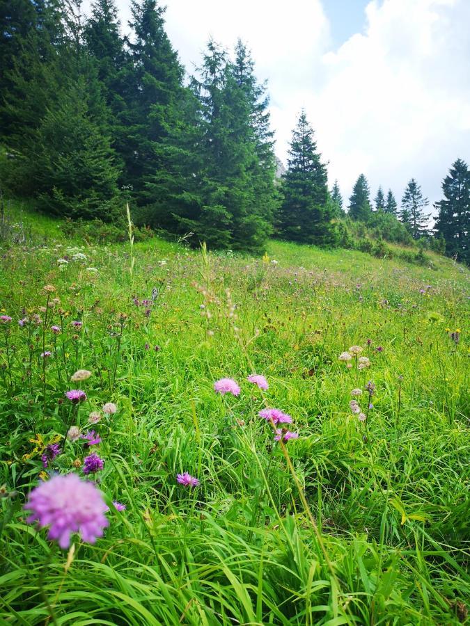 Zlatarske Brvnare Zlatar Chalets Нова-Варош Екстер'єр фото